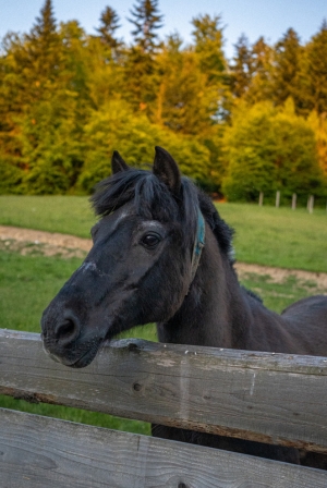 Wypoczynek w górach