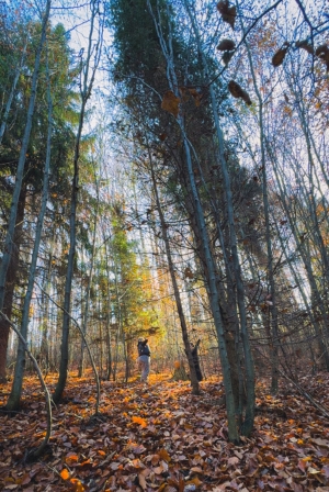 Wypoczynek w górach