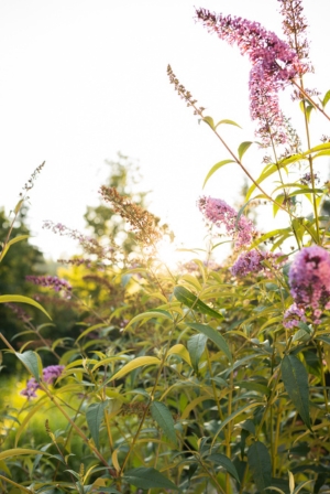 Magiczny klimat gór