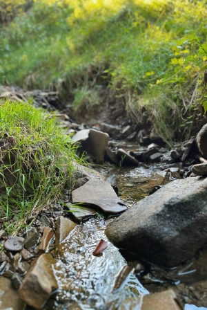 Domek letniskowy z ogrodem