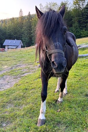 Magiczny klimat gór