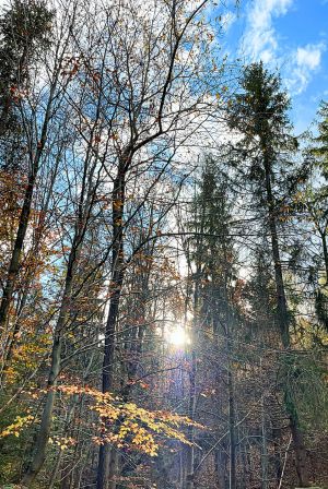 Wypoczynek w górach