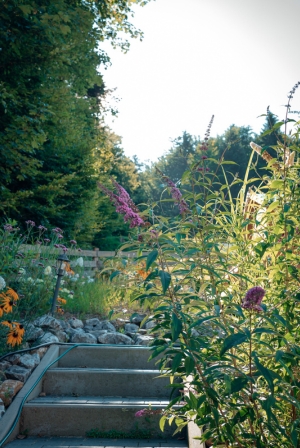 Domek do wynajęcia z dziećmi