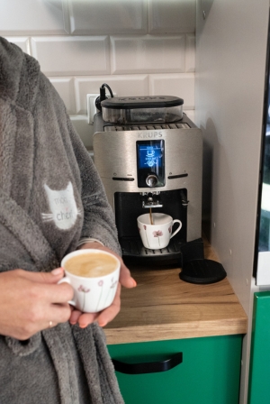 Domek wypoczynkowy Ustroń - kuchnia