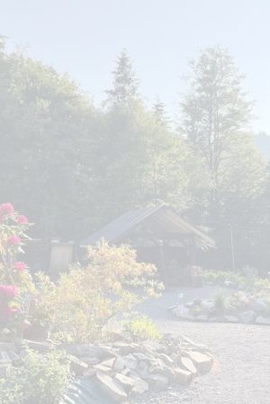 domek pierwiosnek Ustroń