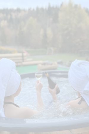 domek pierwiosnek Ustroń